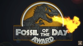COP25: A Three-Way Tie for "Fossil of the Day" Award at the UN Climate Change Conference